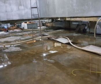 Địa Chỉ Men Vi Sinh Chất Lượng Giá Rẻ Ở Đâu?