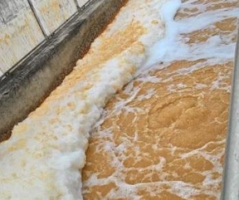 Phân Phối Men Vi Sinh Hiếu Khí HCM | Xử Lý Nước Thải Triệt Để | 100% Chính Hãng