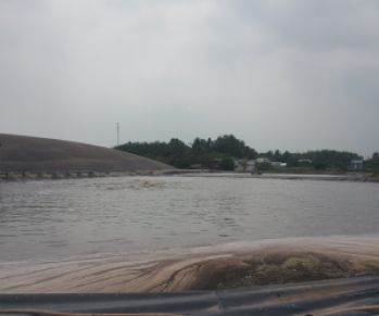 Men Vi Sinh Kỵ Khí HCM Chất Lượng Đã Được Kiểm Nghiệm | Giá Tốt Nhất