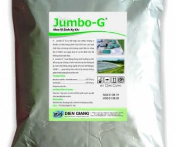 Hệ Thống Men Vi Sinh Xử Lý Nước Thải Uy Tín