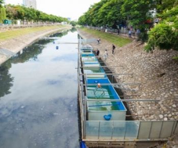 Năm 2020: Quyết Liệt Kiểm Soát Ô Nhiễm Môi Trường